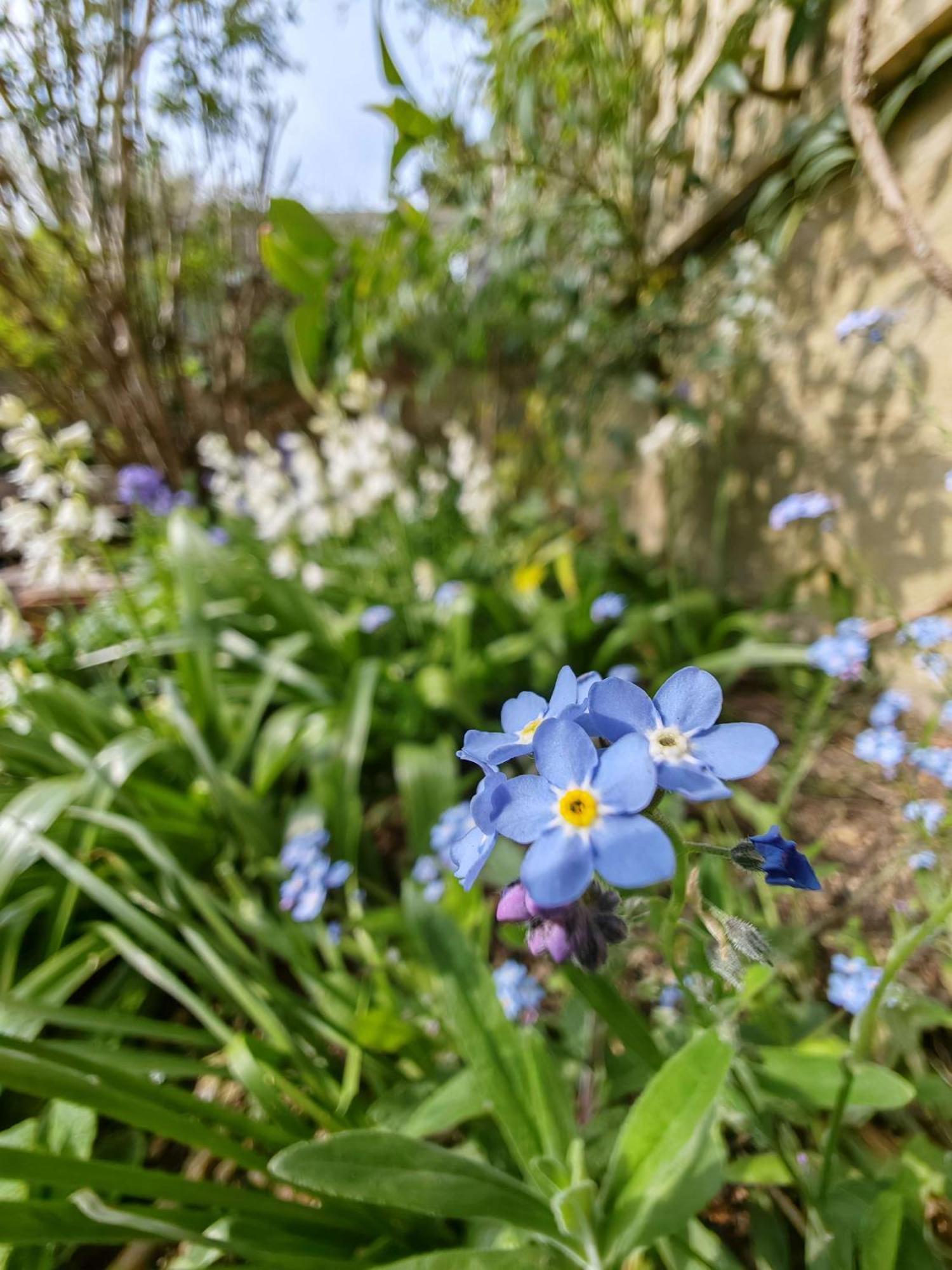 Wishbone In The Cotswolds * Fairford