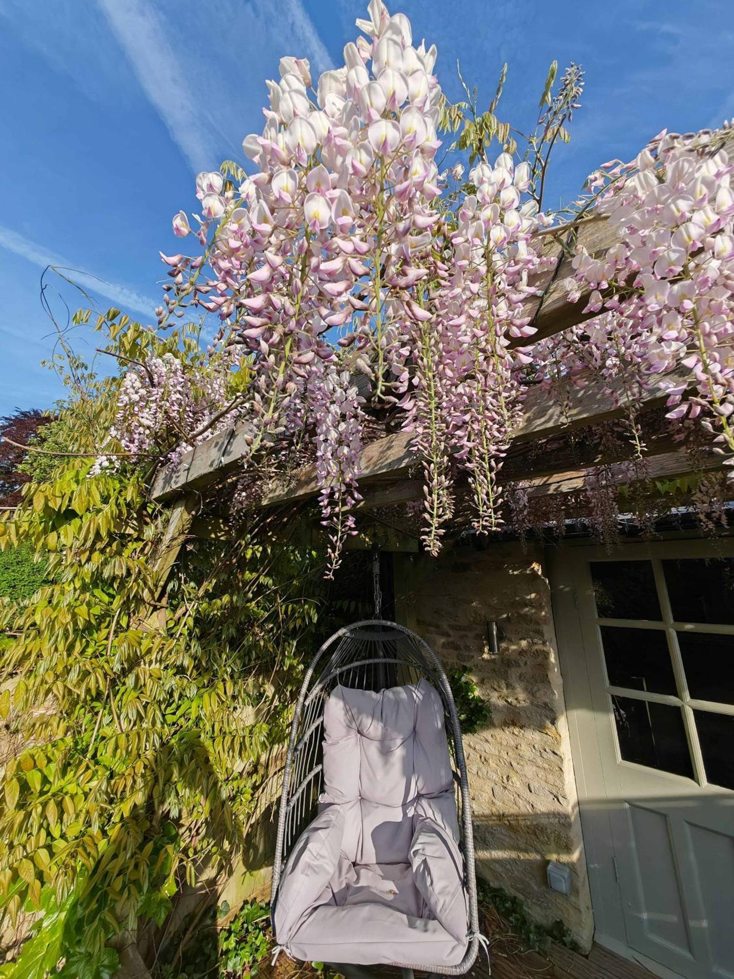 Wishbone In The Cotswolds *